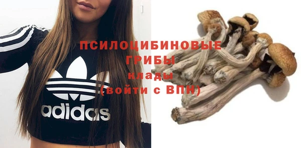 прущие грибы Арсеньев