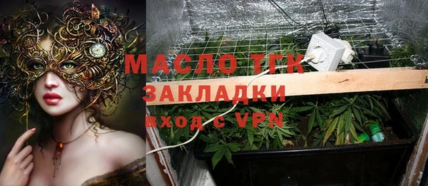 прущие грибы Арсеньев