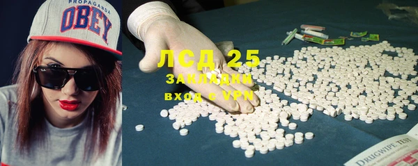 прущие грибы Арсеньев