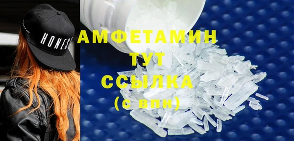 мяу мяу мука Аркадак